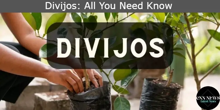 Divijos: All You Need Know