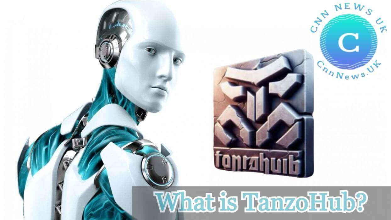 What is TanzoHub? A Comprehensive Overview